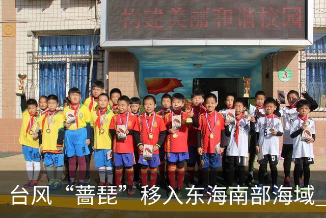 台风“蔷琵”移入东海南部海域 4地防汛防台风四级应急响应持续