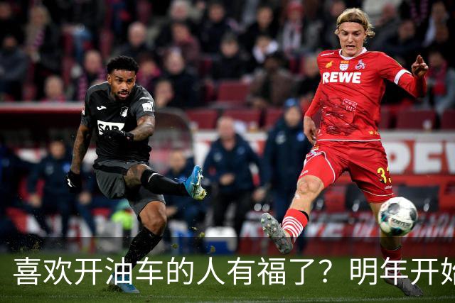 喜欢开油车的人有福了？明年开始，油车或将变成更多家庭的首选