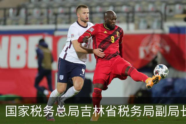 国家税务总局吉林省税务局副局长于洋被查