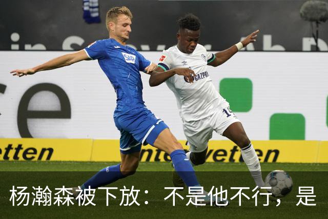杨瀚森被下放：不是他不行，是“型号”不对