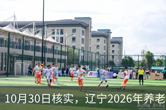 10月30日核实，辽宁2026年养老金调整通知，今天正式已发布了吗？